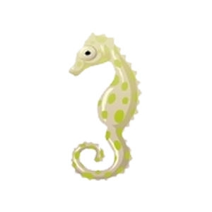 Olive Pygmy Seahorse